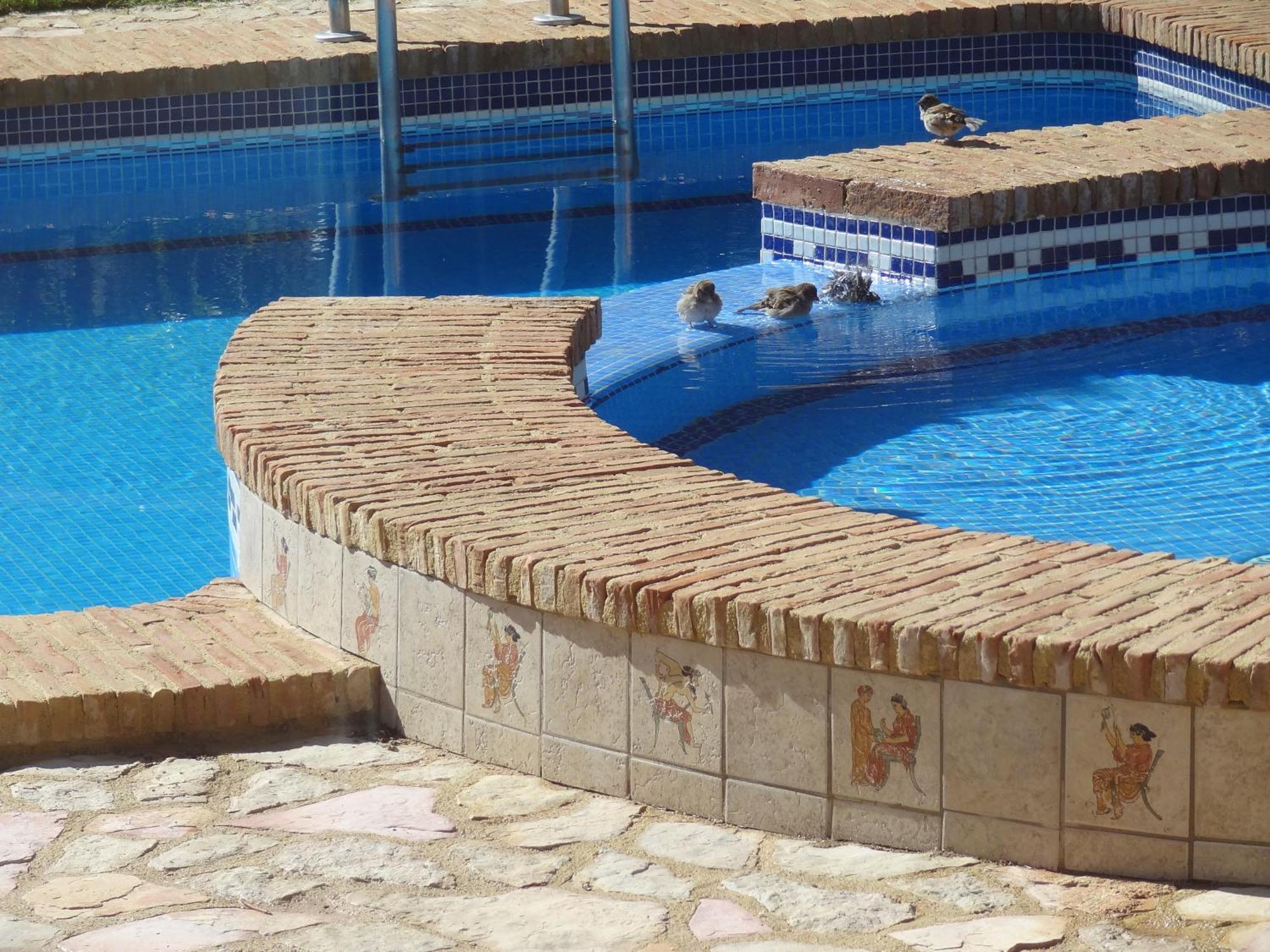 Villa Clairol Los Gallardos Exterior foto